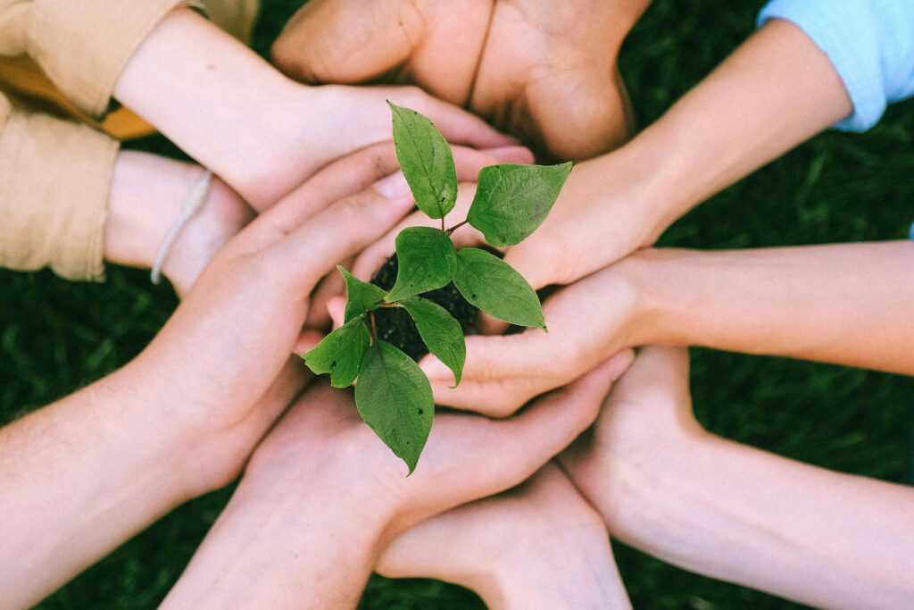 Image of a group of people holding a plant